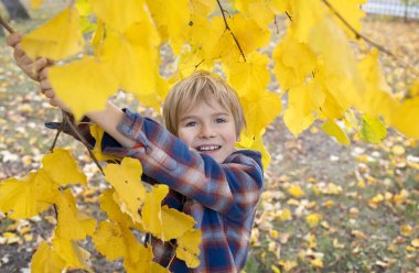Sarı yaprakların arasında gülümseyen neşeli bir çocuk. Neşeli sonbahar havası. Doğadaki çocuklar, Hint yazları. Merhaba, Autumn. mevsimsel atmosferik fotoğraf