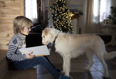 Kazak ve kot pantolon giymiş neşeli bir çocuk ve karşıdaki odada Noel ağacının önünde duran beyaz bir köpek. Çocuklar ve evcil hayvanlar arasındaki mutlu ilişki kavramı. Çocuk köpeğe okumayı öğretiyor.