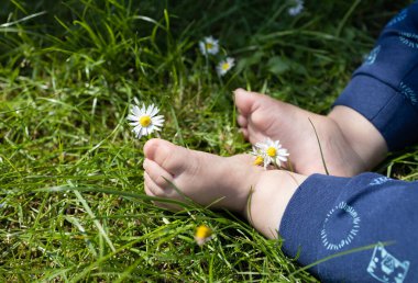 Çıplak ayakla yeşil çimlerin üzerinde oturuyor ve küçük parmaklarının yanında papatya çiçeği var. pozitif atmosfer, merhaba yaz, hava banyosu, dikkatsizlik, mutlu çocukluk, parkta doğa yürüyüşleri. Yaşam biçimi
