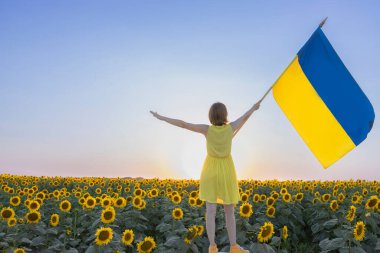 Büyük Ukrayna bayrağı elinde çiçek açan ayçiçeği tarlasının önünde duran kadın batan güneş ve gökyüzünün arka planına karşı. Ulusal özgürlük sembolü. Zafere olan umut ve inanç. Bağımsızlık Günü