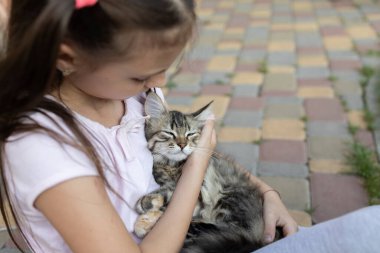 Bir kızın kollarında kahverengi tüylü evcil kedi. Yavru kedi ve çocuk arasındaki arkadaşlık. En sevdiğim hayvan. Evcil hayvanlar için rahatlık ve şefkat. Hemşirelik ve veterinerlik.