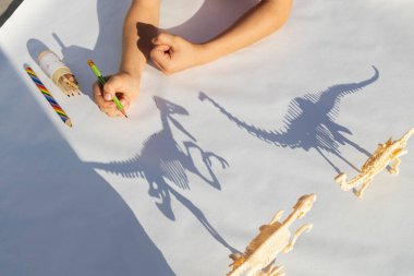 child traces contrasting shadow from skeletons of toy dinosaurs on paper with pencil. interesting childhood, ideas for games and creativity, lifestyle, development of imagination and fine motor skills clipart