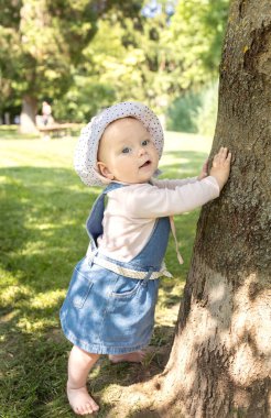 6-7 aylık çıplak ayaklı tatlı kız ağaç gövdesine tutunarak yerde duruyor. Doğayı tanımaya çalışıyorum. İlk adımlar, etrafındaki dünyaya ilgi, çocukluk sevinci. Sağlıklı mutlu çocuklar.