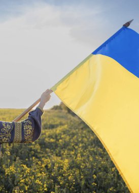 Ukrayna sarısı ve mavi bayrağı bir kadının elinde işlemeli bir gömlekle güneşin arka planında ve bir kolza tohumu tarlasında. Ukrayna 'nın yanında dur. Haysiyet ve Özgürlük Günü. Bağımsızlık Günü.