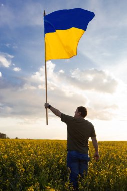 Tanınmayan bir adam kolza tohumu tarlasının ortasında duran büyük Ukrayna bayrağını kendi üzerine çekmişti. Ulusal özgürlük ve Ukrayna 'nın bağımsızlığının sembolü. Savaşı durdurun. Gurur ve vatanseverlik