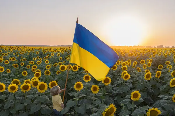 Ukrayna 'nın büyük sarı ve mavi bayrağı güneş ve gökyüzünün açtığı çiçek tarlasının ortasında küçük bir çocuğun ellerinde. Gurur, ülkenin sembolü, vatanseverlik. Ukrayna 'nın Bağımsızlık Günü