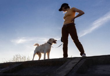 Gün batımında gökyüzüne karşı sevgili köpeğinin yanında duran bir kadın silueti. Parkta evcil bir hayvanla yürümek. Dört bacaklı bir arkadaşla iletişim kurmanın sevinci. Hayvanların insanlara olan dostluğu ve bağlılığı