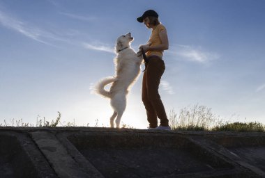 Gün batımında gökyüzüne sarılan kadın ve köpek silueti. Doğada sevgili evcil hayvanınla yürü. Dört bacaklı bir arkadaşla iletişim kurmanın sevinci. İnsanlar ve hayvanlar arasındaki arkadaşlık