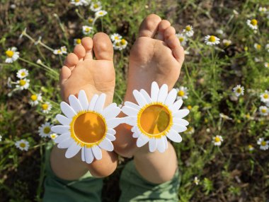 Güneşli bir günde çiçek açan çimenlikte papatya şeklinde gözlüklü bir çocuğun çıplak ayakları. Yakın çekim, üst görüş. Mutlu çocukluk, pozitif ol, neşeli ruh hali, mutlu tatiller. Merhaba yaz.
