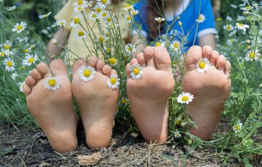 Vahşi papatyaların arasında iki çocuğun dört çıplak ayağı. Pozitif ve aktif ol. Yaz tasasız, mutlu tatiller. Yalınayak yürümek ayaklarının sağlığı için iyidir. Merhaba yaz, doğanın enerjisi..