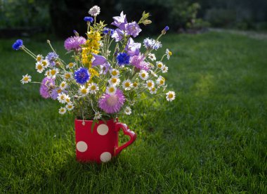 Yeşil çimlerin üzerinde duran vazoda duran çeşitli yabani çiçeklerden oluşan yemyeşil bir buket. Güneşle aydınlatılmış. Kırmızı vazonun sapı kalp şeklinde. Doğanın estetiği işte. Neşe için çiçekler. Tebrik kartı,