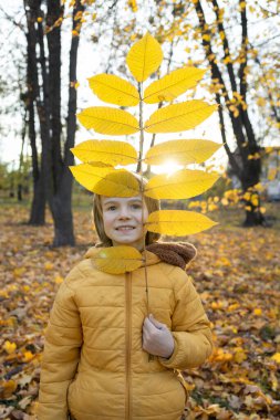 Sonbahar neşe içinde parkta yürüyüş yapmak, eğlenmek ve doğayı keşfetmek. Güneşin batışına karşı kocaman sarı bir yaprağı olan gülümseyen bir çocuk. Tasasız çocukluk. Güneşli sonbahar tatilleri. Mevsimlik sevinçler