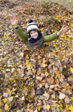 Yılın en sevdiği mevsimi, sonbahar. Sonbahar havası. Çocuk düşen yaprakların altında sevinçle ellerini kaldırır. Çocuk parkta ya da ormanda yürüyor. Tasasız bir çocukluk, açık hava eğlencesi. Etkin yaşam biçimi