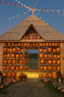 Bir ev şeklinde düzenlenmiş birçok farklı turuncu balkabağı. Akşam alacakaranlıkta güzelce aydınlatılmış. Ulusal Balkabağı Günü kartı. Sonbaharın mevsimlik sembolü