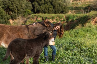 Woman smiling while feeding donkeys outdoors in nature. Animals concept.