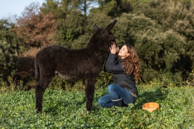 Woman taking care and caressing a donkey calf outdoors in the nature. Animals concept.