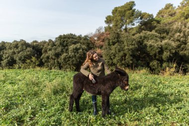 Woman brushing the hair of a donkey calf standing outdoors in field. Animals concept.