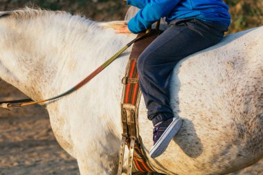 Detail of the legs of a child with cerebral palsy on a horse