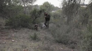 Erkek avcı köpekleriyle ormanda yürürken av tüfeği tutuyor. Avlanma kavramı.