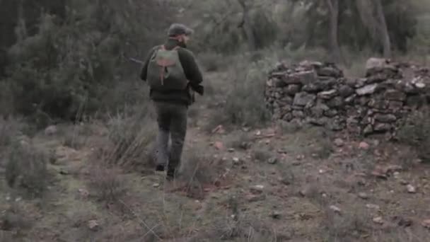 Pemburu Pria Memegang Senapan Saat Mencari Mangsa Hutan Konsep Berburu — Stok Video