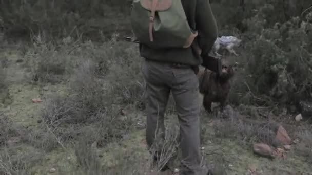 Männliche Jäger Stehen Mitten Wald Während Sie Mit Ihren Hunden — Stockvideo