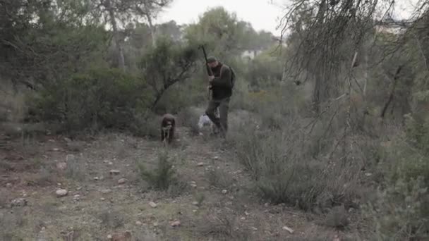 彼の犬と森の中を歩いている間に散弾銃を持っている男性ハンター 狩猟の概念 — ストック動画