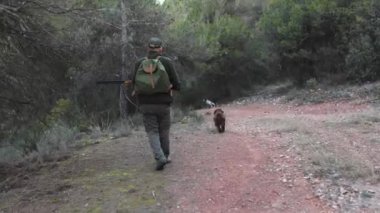 Avcı av köpekleriyle ormanda yürürken av tüfeği tutuyor. Av sezonu konsepti.