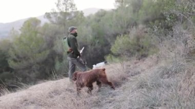 Erkek avcı bir dağda duruyor ve köpekleriyle dışarıda avlanırken etrafa bakıyor. Av sezonu konsepti.
