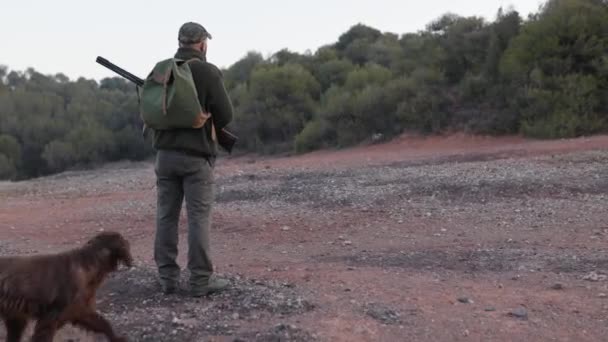 自然の中で犬と狩りをしながら獲物を探すオスハンター 狩猟シーズンのコンセプト — ストック動画