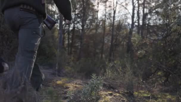 带着背包拿着猎枪带着他的狗在森林里散步的男猎手 狩猎概念 — 图库视频影像