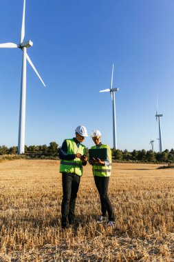 Dizüstü bilgisayar planlama ve yenilenebilir enerji endüstrisi için çalışan mühendisler, yel değirmeni çiftlikleriyle ilgili teknik raporları gözden geçiriyorlar..
