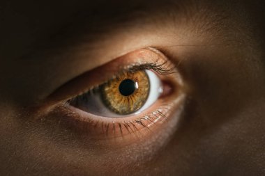 Bir çocuğun göz kamaştırıcı fındık gözü aydınlanıyor, irisin karmaşık detaylarını gözler önüne seriyor.