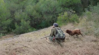 Avcı av gününde Eagneul Breton köpeği eşliğinde av tüfeğiyle nişan alır ve ateş eder.