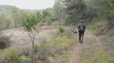 Avcı av köpeğiyle birlikte ağaçlık orman yolunda yürüyor, açık havada avlanıyor ve sonbahar mevsiminde doğayla iletişim kuruyor.