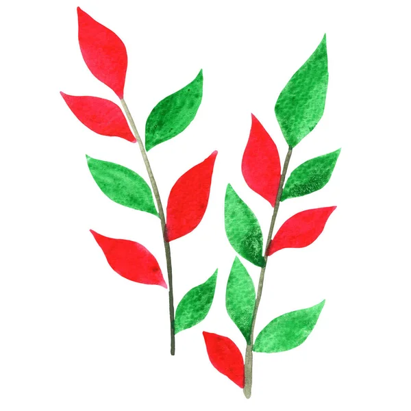Foglie Verdi Rosse Acquerello Illustrazione Decorazione Sulla Festa Natale Evento — Foto Stock