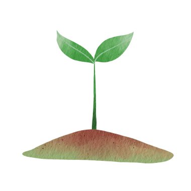 growth plant, seedlings plant on ground illustration for decoration on agriculture and natural concept. 
