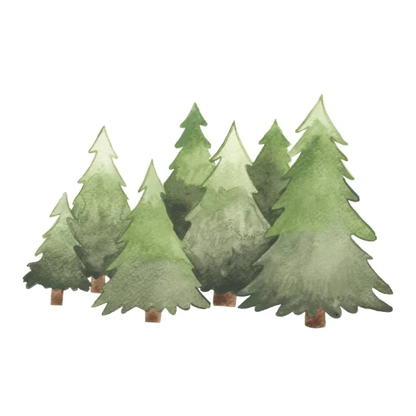 Soyut Çam Ağaçları Orman Doğa Kavramını Süslemek Için Suluboya Çizimine — Stok fotoğraf