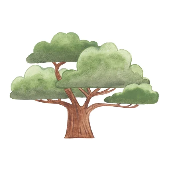 Gigantyczne Drzewa Bonsai Wiosnę Sezon Akwarela Ilustracja Dekoracji Ogrodzie Koncepcji — Zdjęcie stockowe
