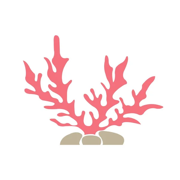 Seaweed Coral Flat Design Illustration Decoration Marine Life Ocean — Stock Vector