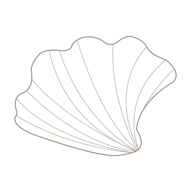 Seashell Doodle Illustration Decoration Marine Life Summer Holiday Coastal Concept — Stock Vector