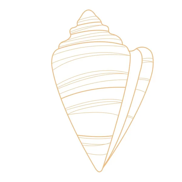 Seashell Doodle Εικονογράφηση Για Διακόσμηση Στη Θαλάσσια Ζωή Καλοκαιρινές Διακοπές — Διανυσματικό Αρχείο