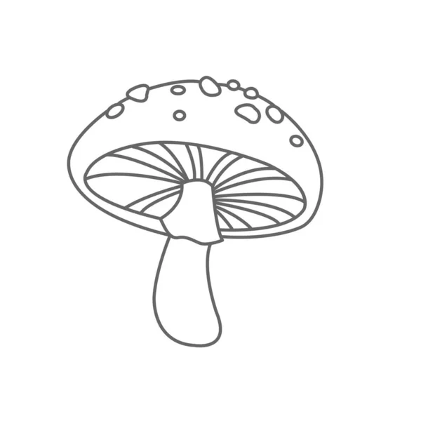 Cogumelo Selvagem Doodle Ilustração Para Decoração Jardim Conceito Natureza —  Vetores de Stock