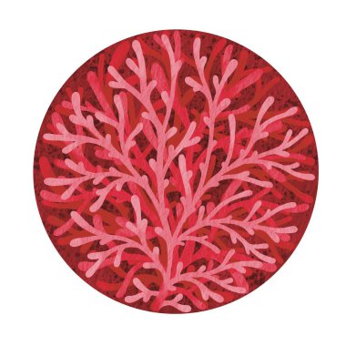 Deniz yaşamı ve yaz tatili süslemeleri için kırmızı daire pankartıyla kırmızı mercan..