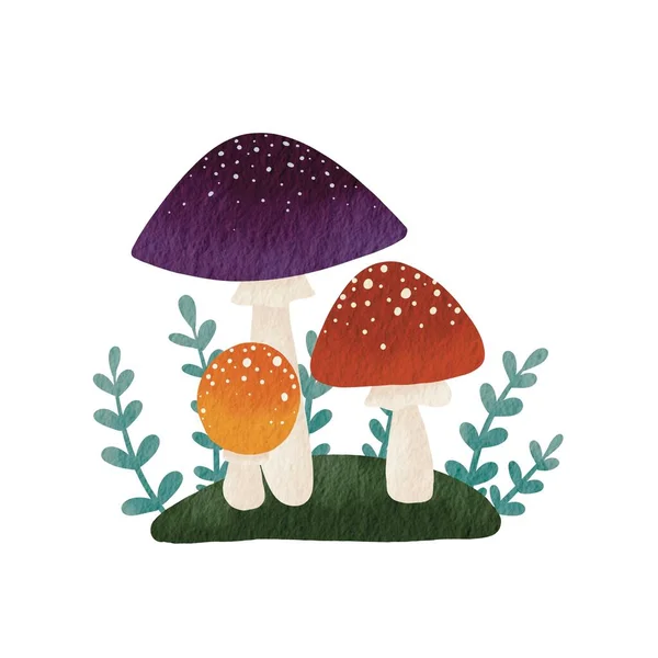 Bunte Pilze Auf Grünem Gras Und Farn Aquarell Illustration Zur — Stockfoto