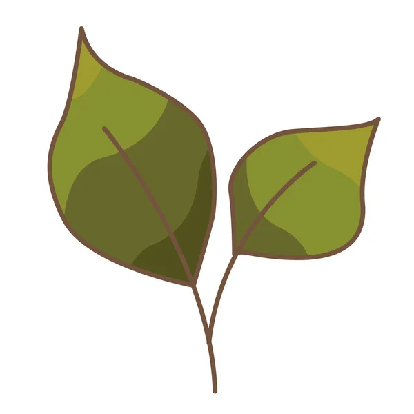 Вектор Иллюстрации Зеленого Листа Украшения Природы Осенней Сезонной Концепции — стоковый вектор