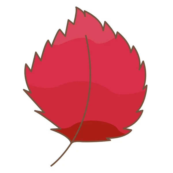 Rotes Blatt Illustrationsvektor Für Dekoration Über Natur Und Herbst Saisonales — Stockvektor