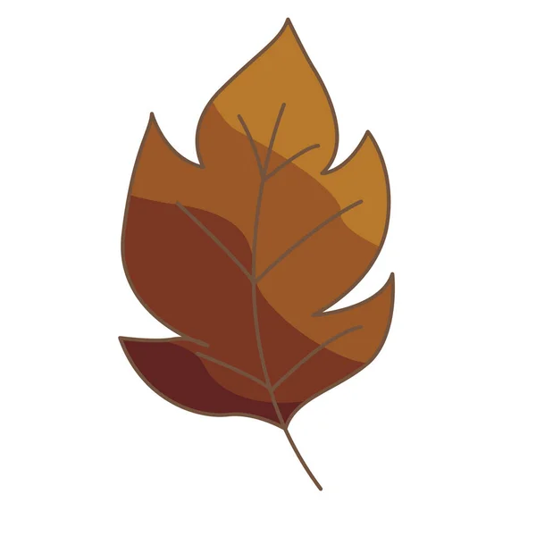 Векторная Иллюстрация Коричневого Дуба Украшения Природы Осенней Сезонной Концепции — стоковый вектор