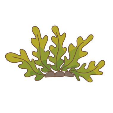 Doğal gıda ve deniz yaşamı kavramının dekorasyonu için taş resif vektör illüstrasyonunda deniz yosunu.