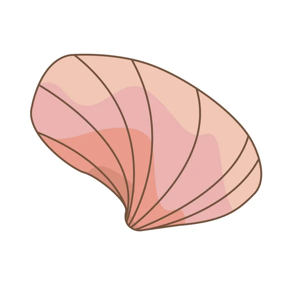 Seashell Signo Vector Ilustración Para Decoración Vida Marina Vacaciones Verano — Vector de stock
