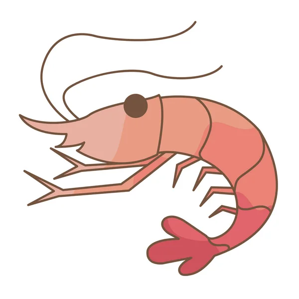 Shrimp Prawn Vector Illustration Decoration Marine Life Seafood Concept — Stock Vector